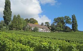 Domaine Beauregard